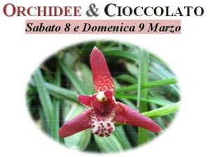 orchidee e cioccolato locandina 2014