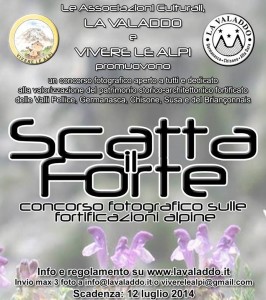 scatta il forte 2014 - locandina