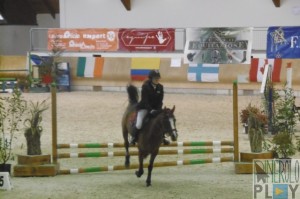 concorso ippico indoor 2014 pinerolo (12)