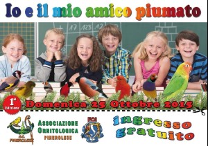 1 edizione amico piumato